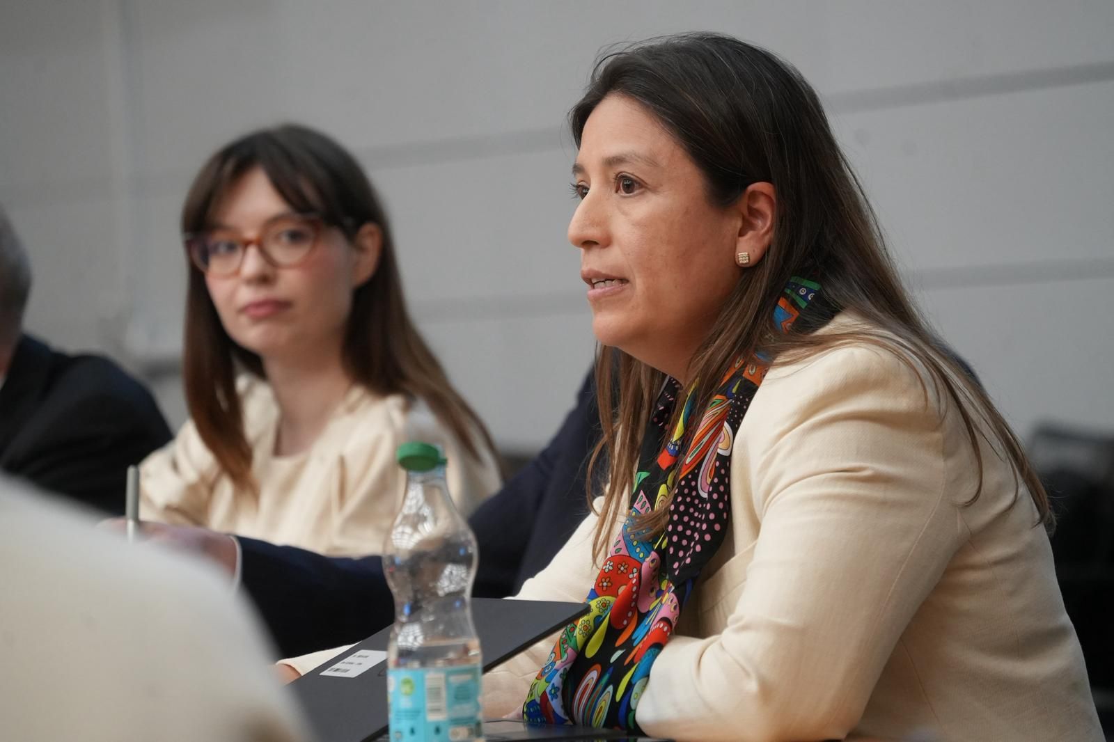 The OECD's Head of Financial Economics joined the panel.