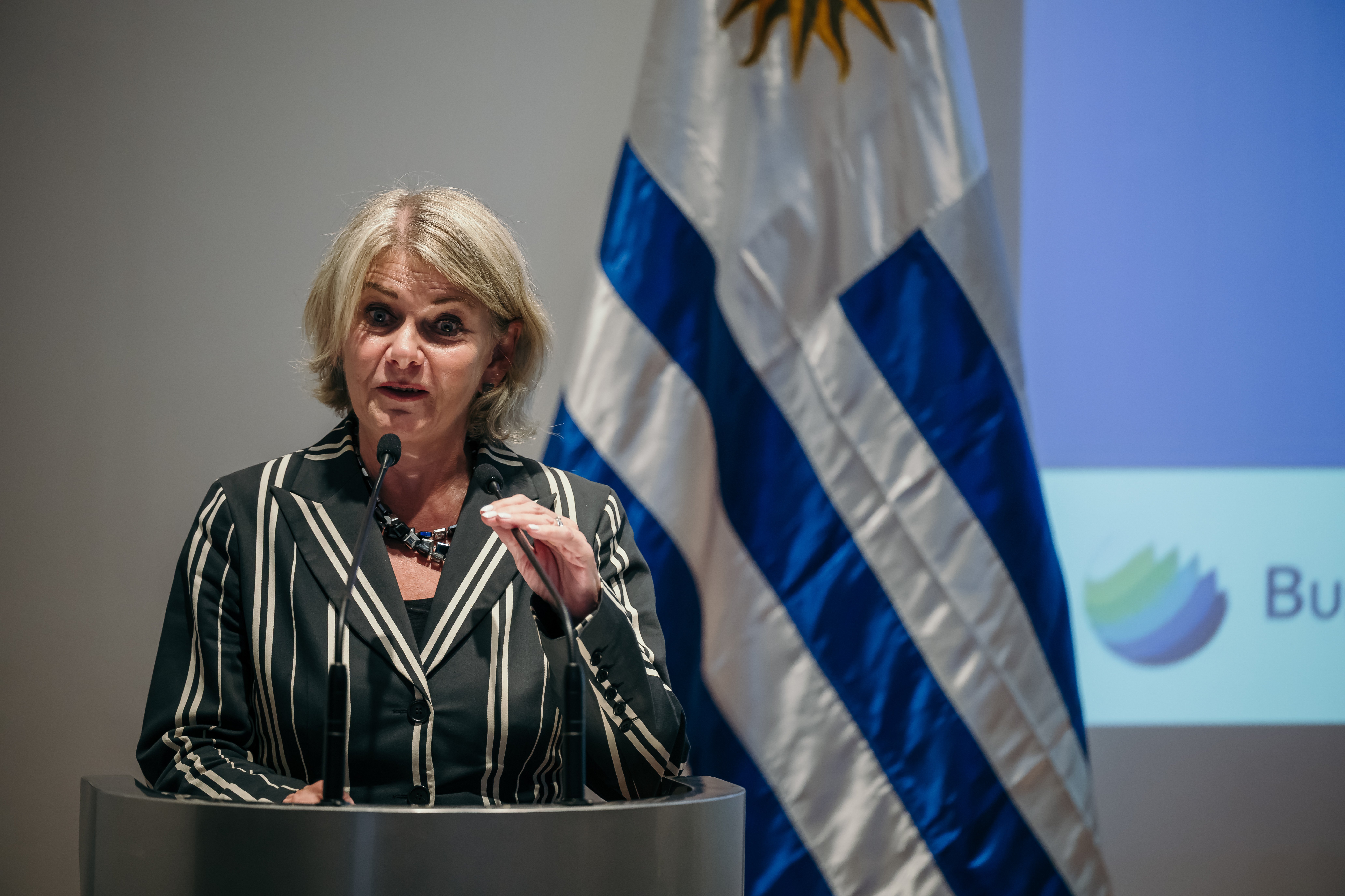 The OECD's Director of the Development Centre, Ragnheiður Elín Árnadóttir, delivered a keynote speech.