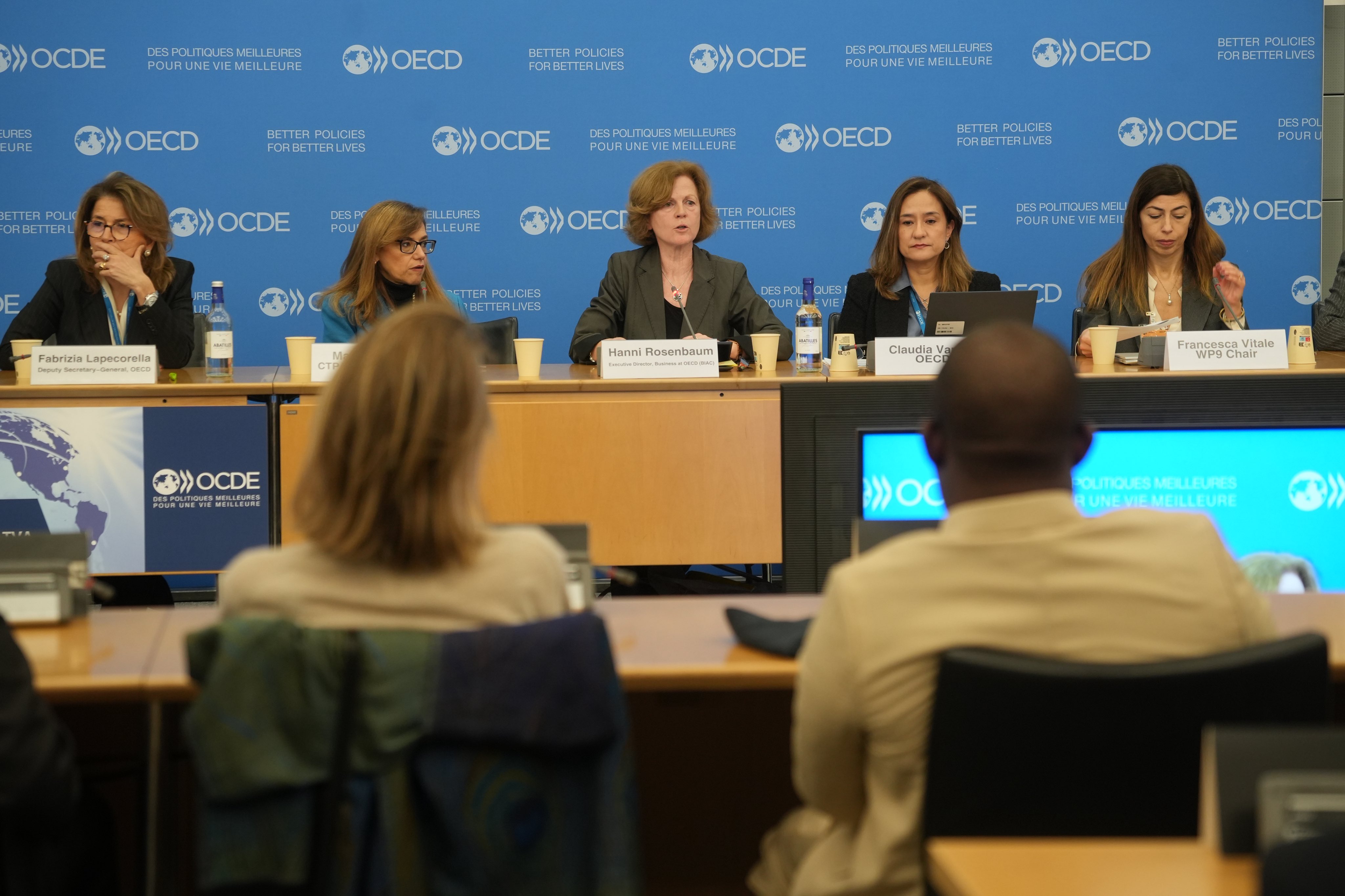 Our Executive Director Hanni Rosenbaum giving opening remarks at the OECD Global Forum on VAT.