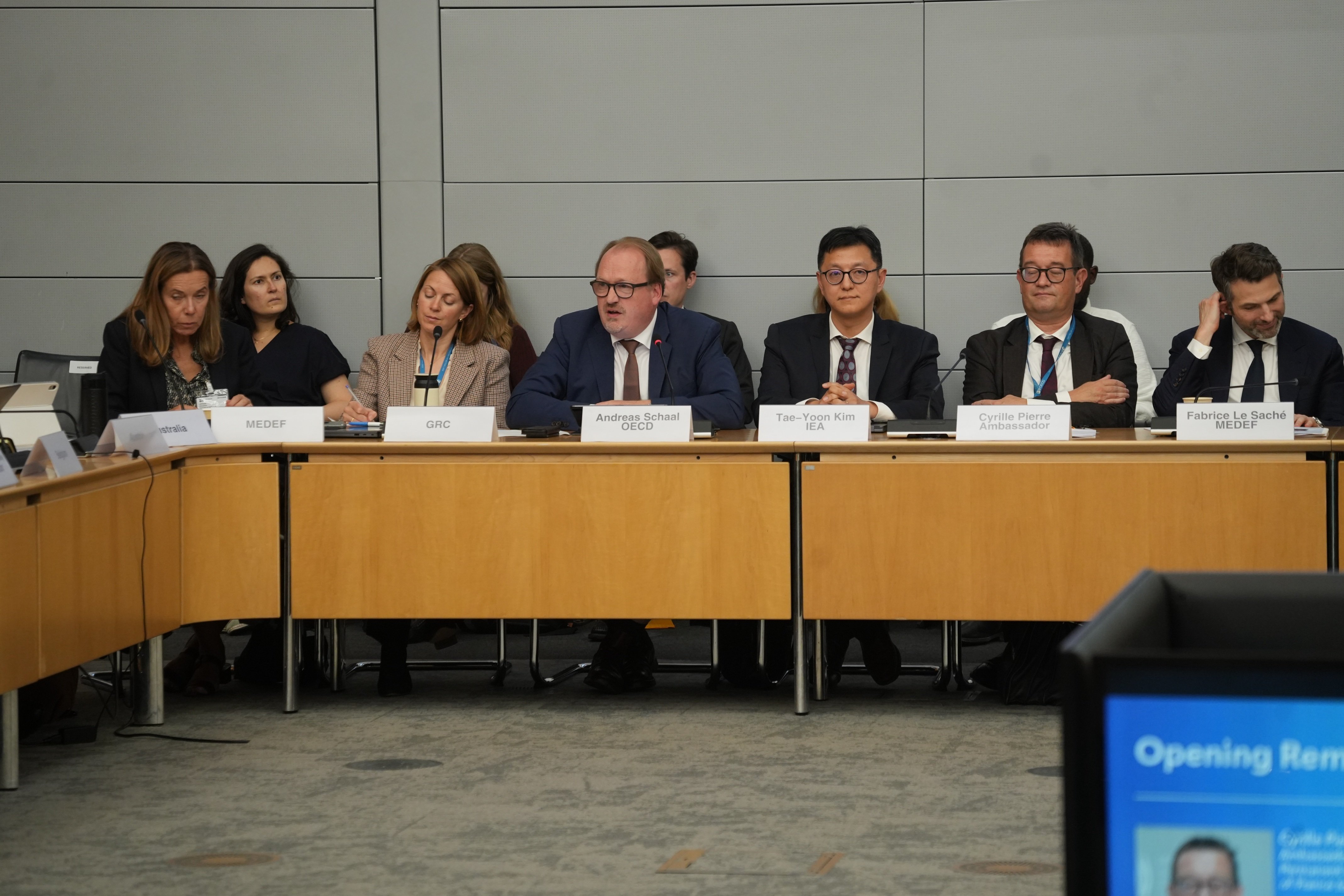 The OECD's Andreas Schaal also joined opening the event.