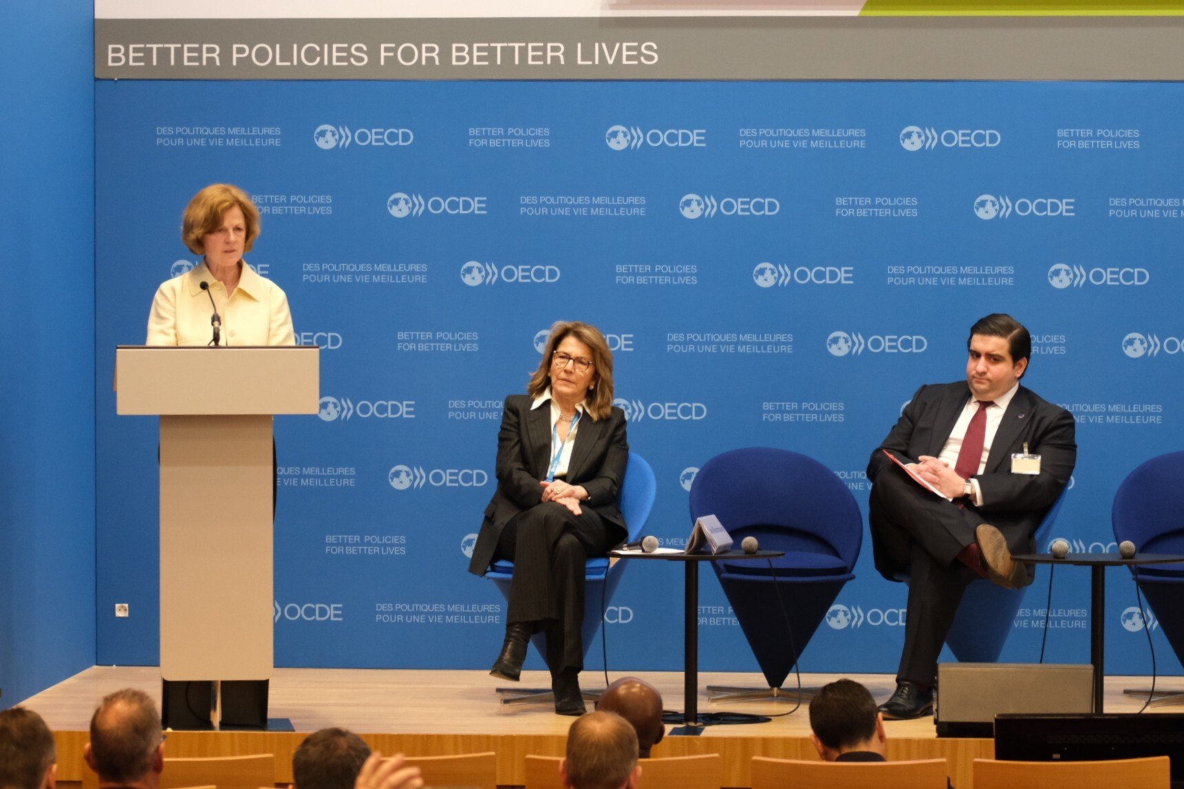 Our Executive Director Hanni Rosenbaum provided opening remarks alongside the OECD Deputy Secretary-General Fabrizia Lapecorella and the Co-Chair of the OECD Working Party on Countering Illicit Trade and the U.S. Department of Homeland Security's James Rockas.