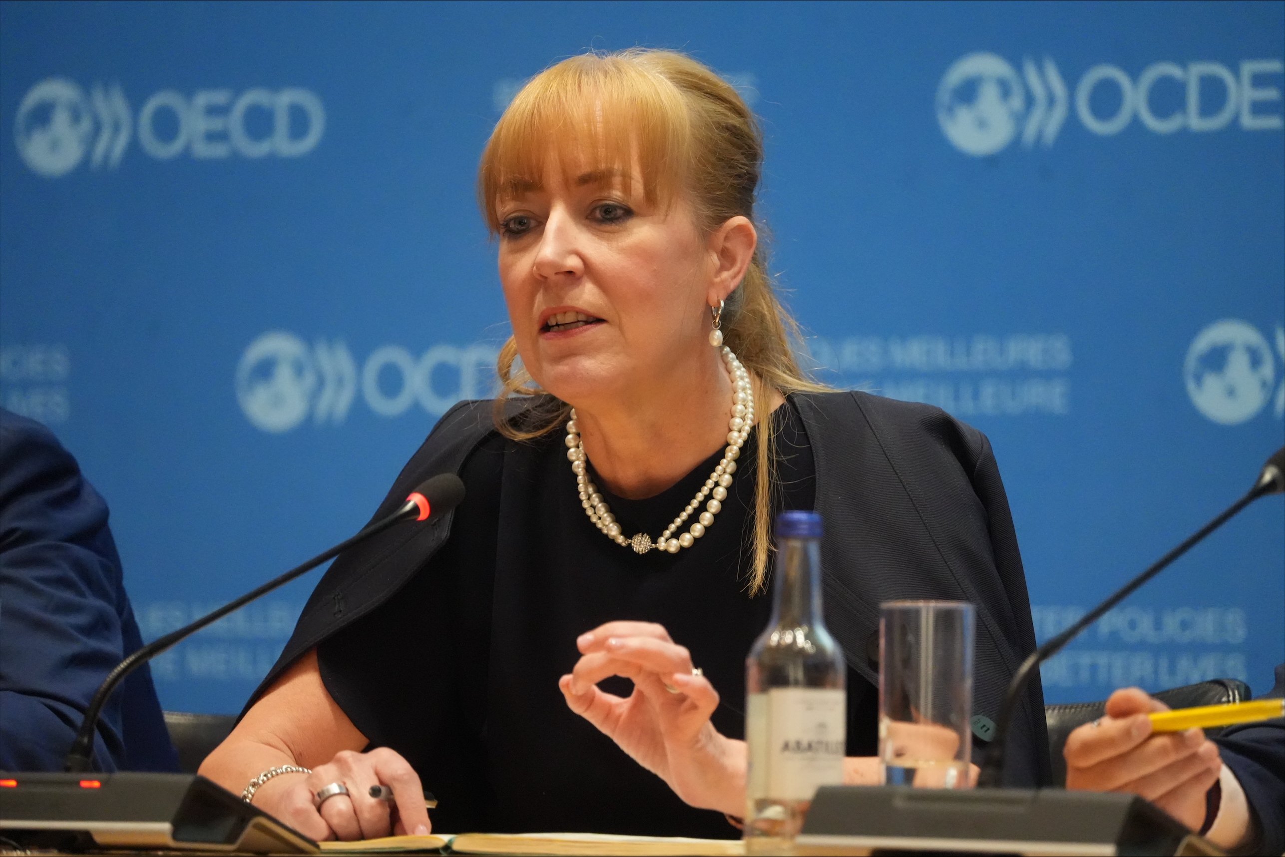 International Pharmaceutical Federation (FIP)'s Catherine Duggan also joined the session.