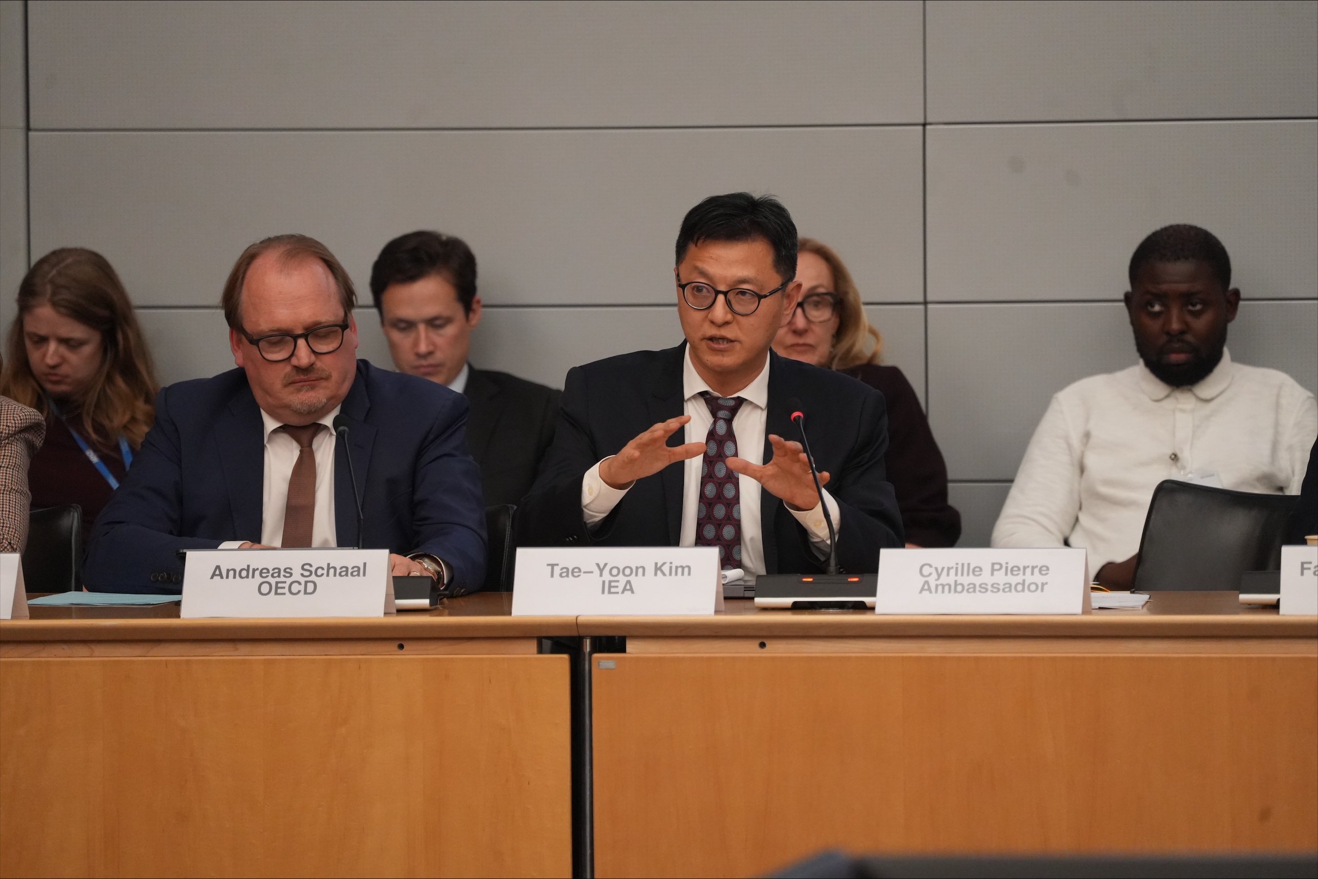 The IEA's Tae-Yoon Kim provided a presentation on their work on critical minerals.