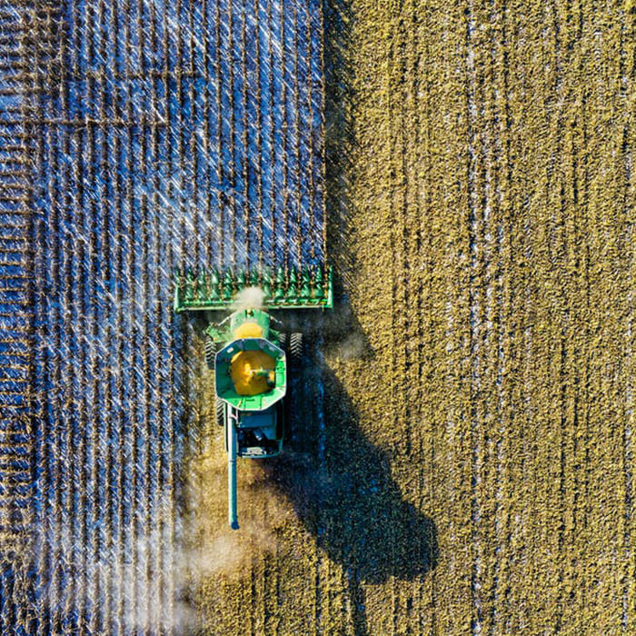 food-agriculture